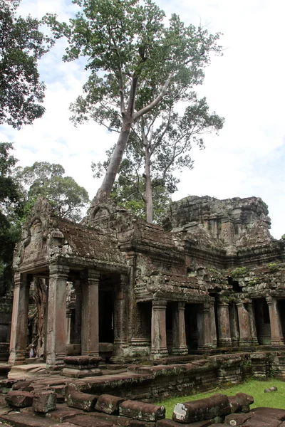 Wat Preah Khan — Stock Photo, Image