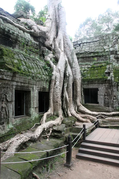 Baile de Ta en Angkor — Foto de Stock