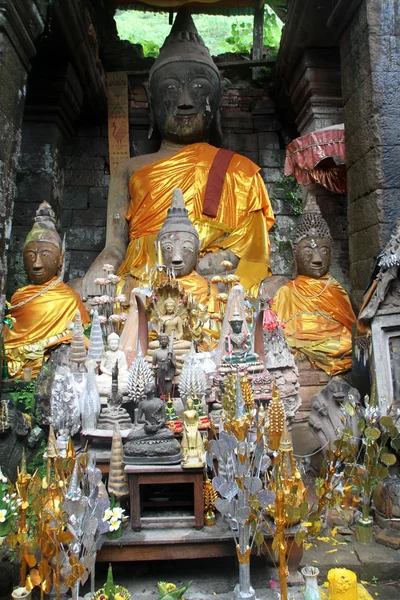 Buddhas — Stock fotografie