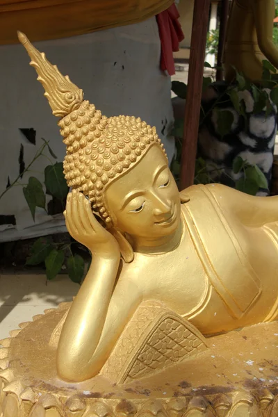 Cabeza de Buda dormido — Foto de Stock