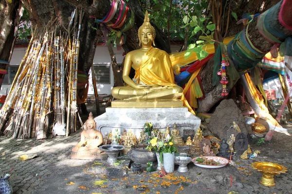 Wat Phra That Si Chom Thong Wora Wiharn, cerca de Chiang Mai, Thaila —  Fotos de Stock