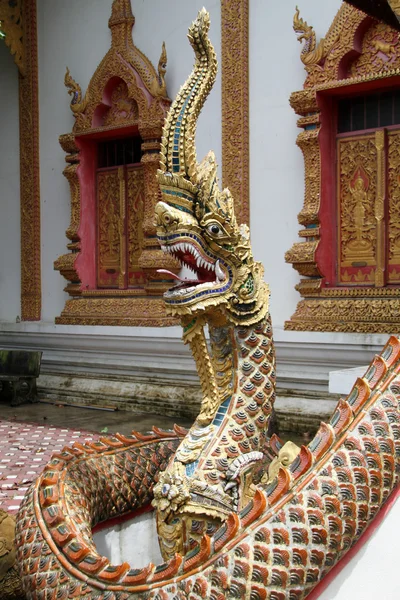Big snakenear temple — Stock Photo, Image