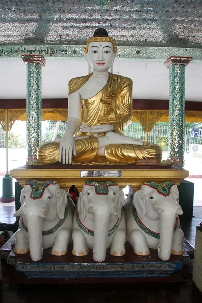 Buddha ed elefanti — Foto Stock