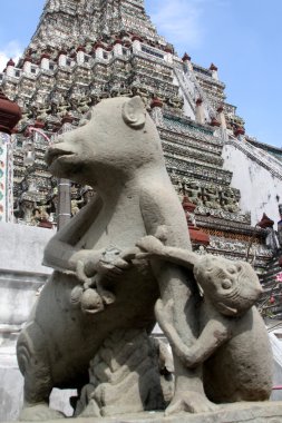 Monkeys and wat Arun