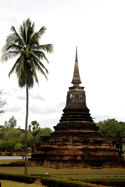 Palmiye ağacı ve stupa — Stok fotoğraf
