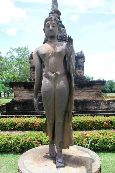 stock image Buddha in wat Sa Si