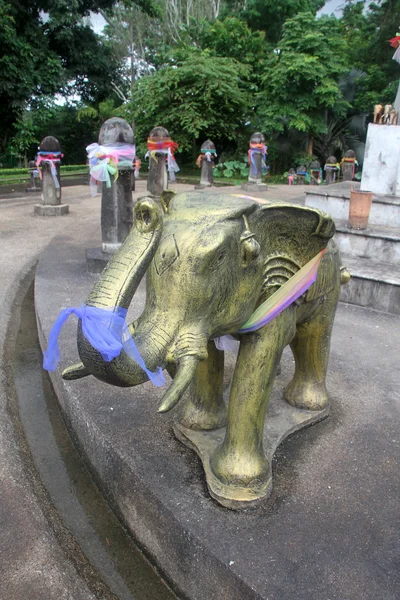 Bronzová slon — Stock fotografie
