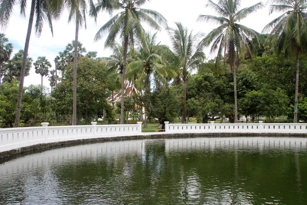 池塘和棕榈树 — 图库照片