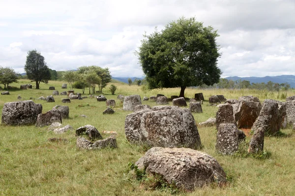 Stock image Plain of jars