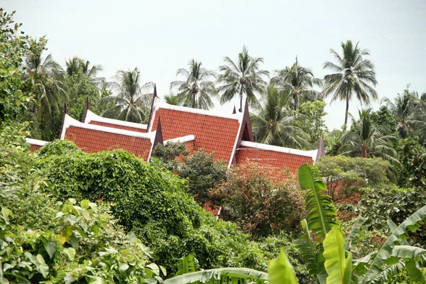 Plantas verdes e telhado — Fotografia de Stock
