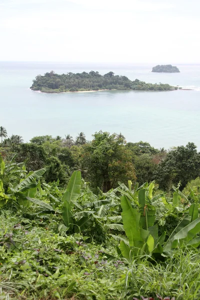 Зеленые деревья и тропический остров — стоковое фото