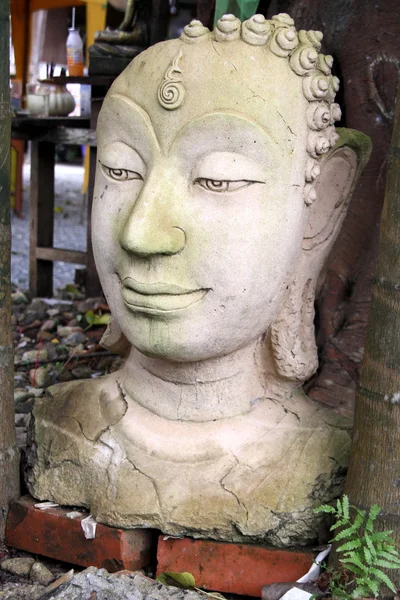 Глава Будды — стоковое фото