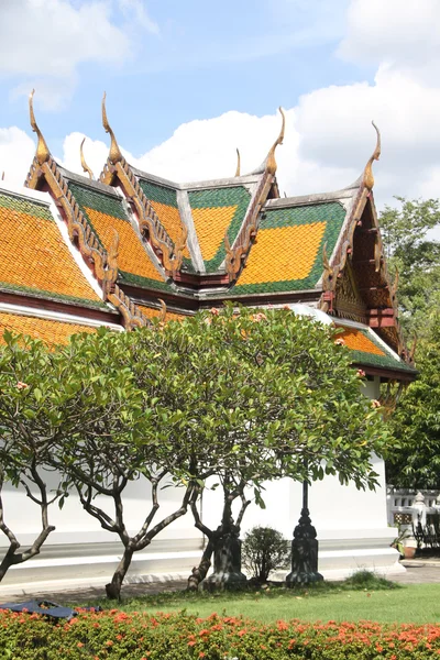 Δέντρο και λευκό ναός στην Μπανγκόκ — Φωτογραφία Αρχείου