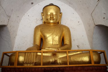 Altın buddha