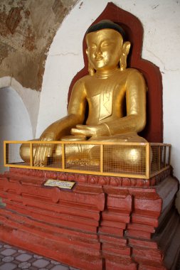 Altın buddha