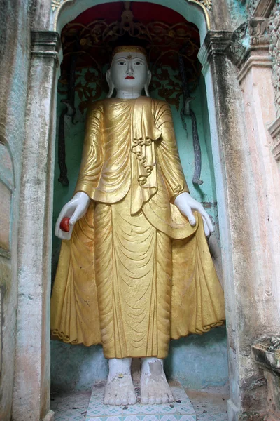 Ayakta Buda — Stok fotoğraf