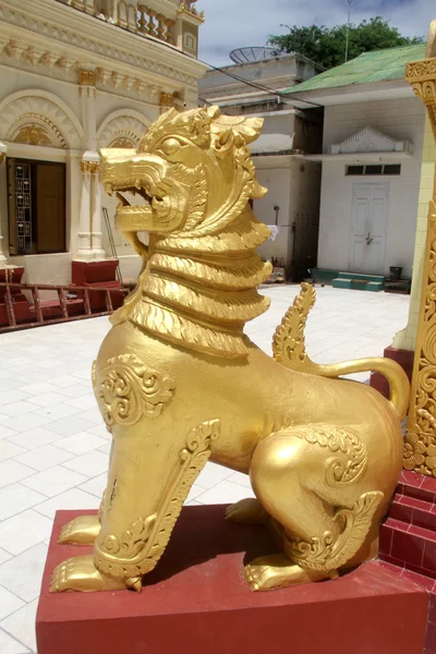 Golden lion — Stock Photo, Image