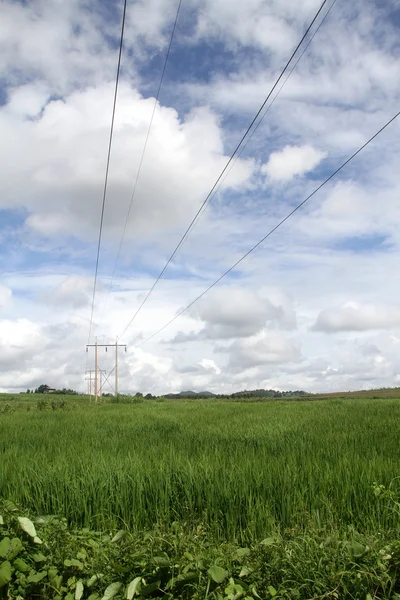 stock image Electrical line