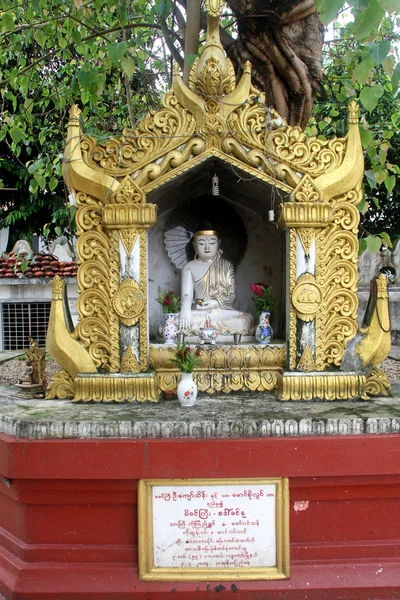 Küçük Buda — Stok fotoğraf