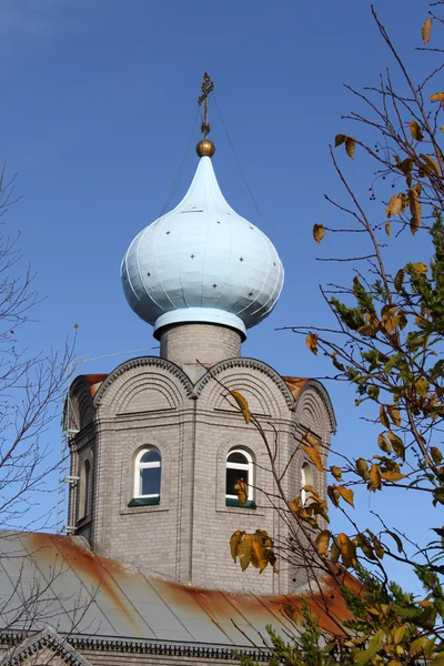 Луковый купол — стоковое фото