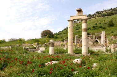 Ephesus clipart