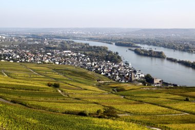 ruedesheim ve Ren