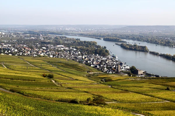 Rüdesheim och Rhen — Stockfoto