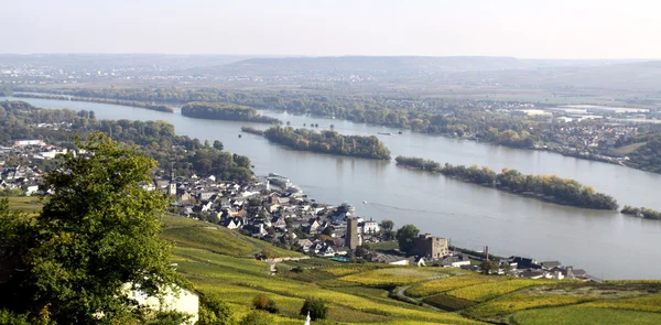 Ruedesheim and Rhine — Stock Photo, Image