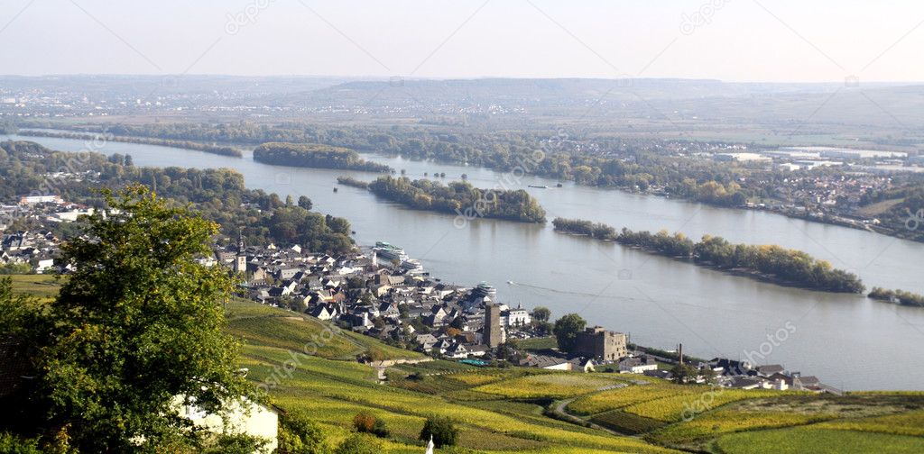 Ruedesheim and Rhine