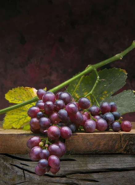 Виноград с листьями на темном фоне — стоковое фото
