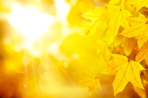 Abstrakte orange Herbst Hintergrund — Stockfoto