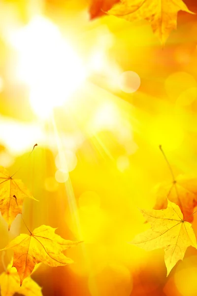 Abstrakte orange Herbst Hintergrund — Stockfoto