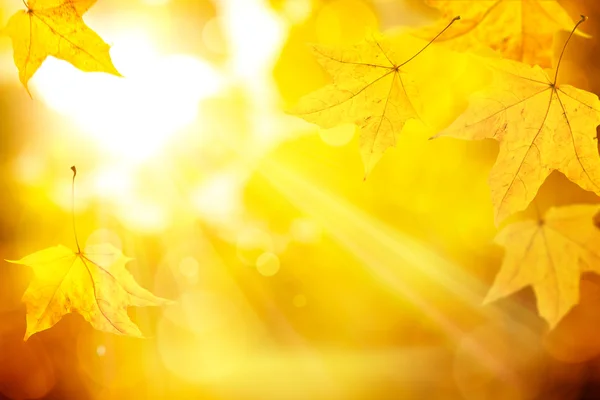 Abstract orange autumn background — Stock Photo, Image
