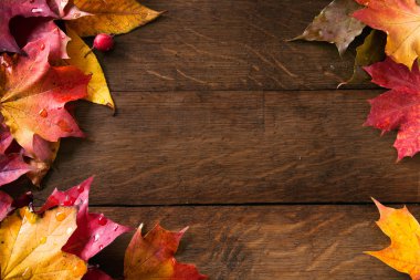 Yellow autumn leaves on background old wood clipart