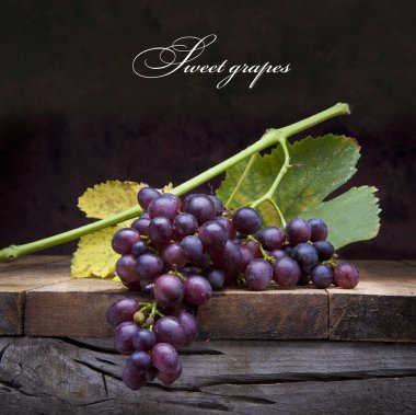 Art purple grapes on old wooden background clipart
