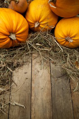 Art orange pumpkins on wooden background clipart