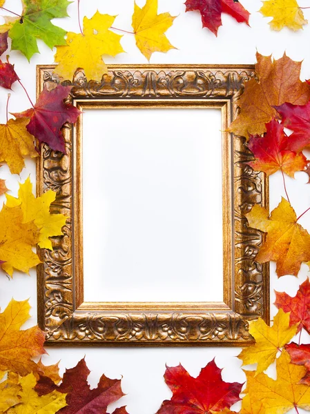 Moldura de arte no fundo branco com folhas de outono coloridas — Fotografia de Stock