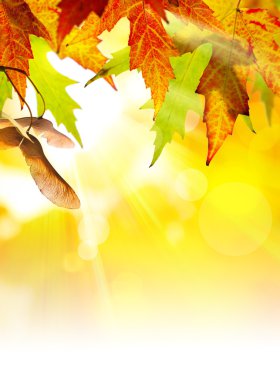 Art abstract autumn background clipart