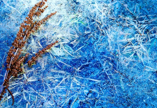 Abstract blue winter ice background — Stock Photo, Image