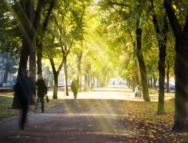 Autumn morning city alley clipart