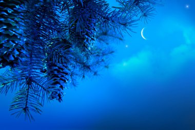 Art Christmas tree branch on a blue night sky background clipart