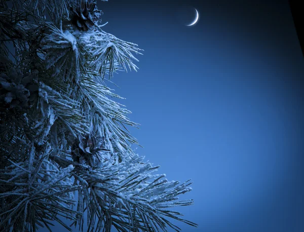 Karácsony este — Stock Fotó