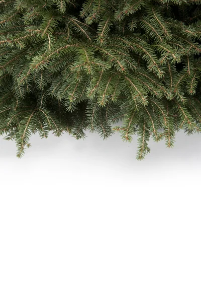 Arka plan ağaç Christmas; — Stok fotoğraf