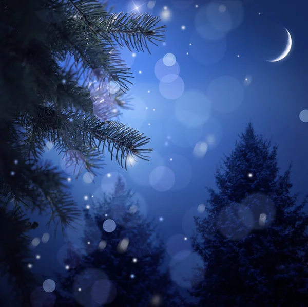 Сніговий ліс у різдвяну ніч — стокове фото