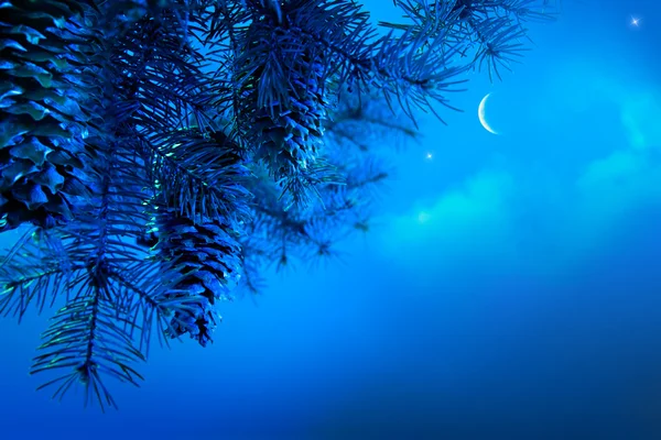 Art Christmas tree branch on a blue night sky background — Stock Photo, Image