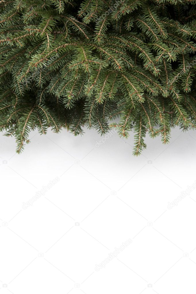 Christmas backgrounds tree;