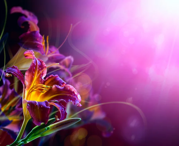 Bir kırmızı bir arka plan birlikte boşaltmak boşluk çiçekler — Stok fotoğraf