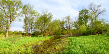 Flooded Wetland - Illinois clipart