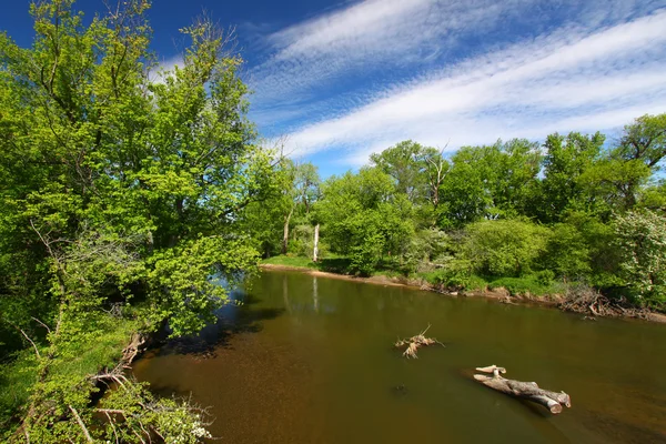 Río Kishwaukee en Illinois — Foto de Stock