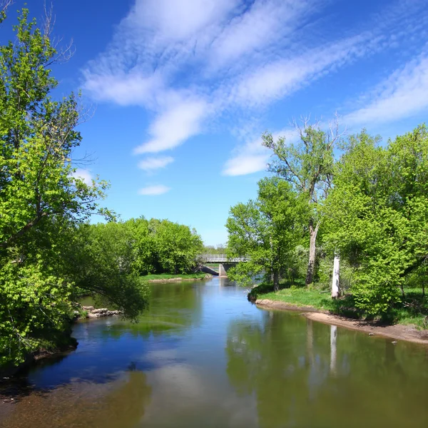 Rivière Kishwaukee dans l'Illinois — Photo